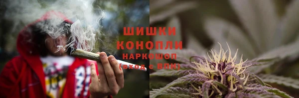 PSILOCYBIN Абаза