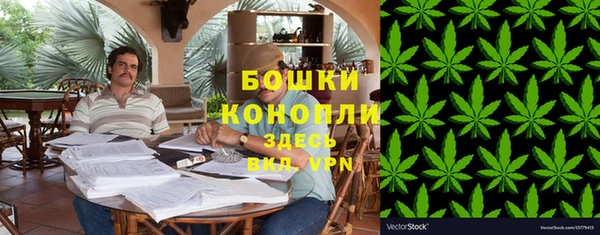 PSILOCYBIN Абаза