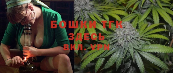 PSILOCYBIN Абаза