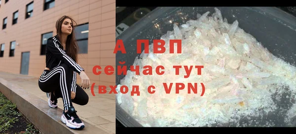 PSILOCYBIN Абаза