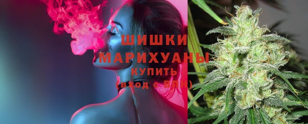 PSILOCYBIN Абаза