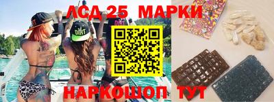 прущие грибы Керчь