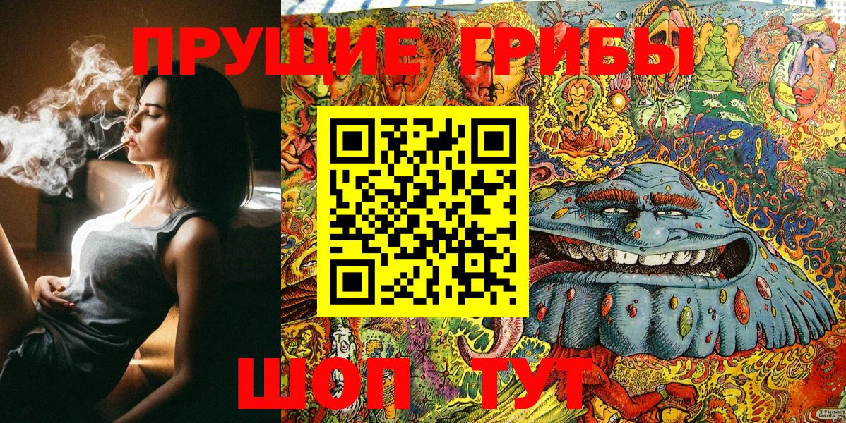 Псилоцибиновые грибы мицелий Иркутск